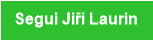 Segui Jiř&iacute; Laurin